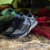 Danner Trail 2650 Hiking Shoes for Men: Picture 1 thumbnail